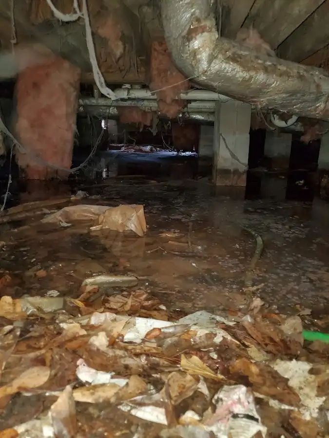 Crawl space flood assessment for Leak Detection & Repair in Hillsborough
